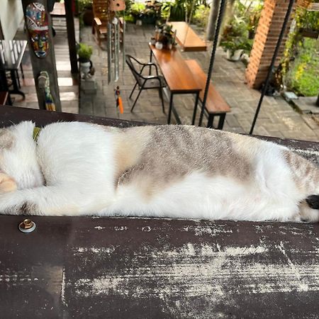 ครูหนูบ้านพัก แหลมงอบ Krunou Baanpak Trat Kültér fotó