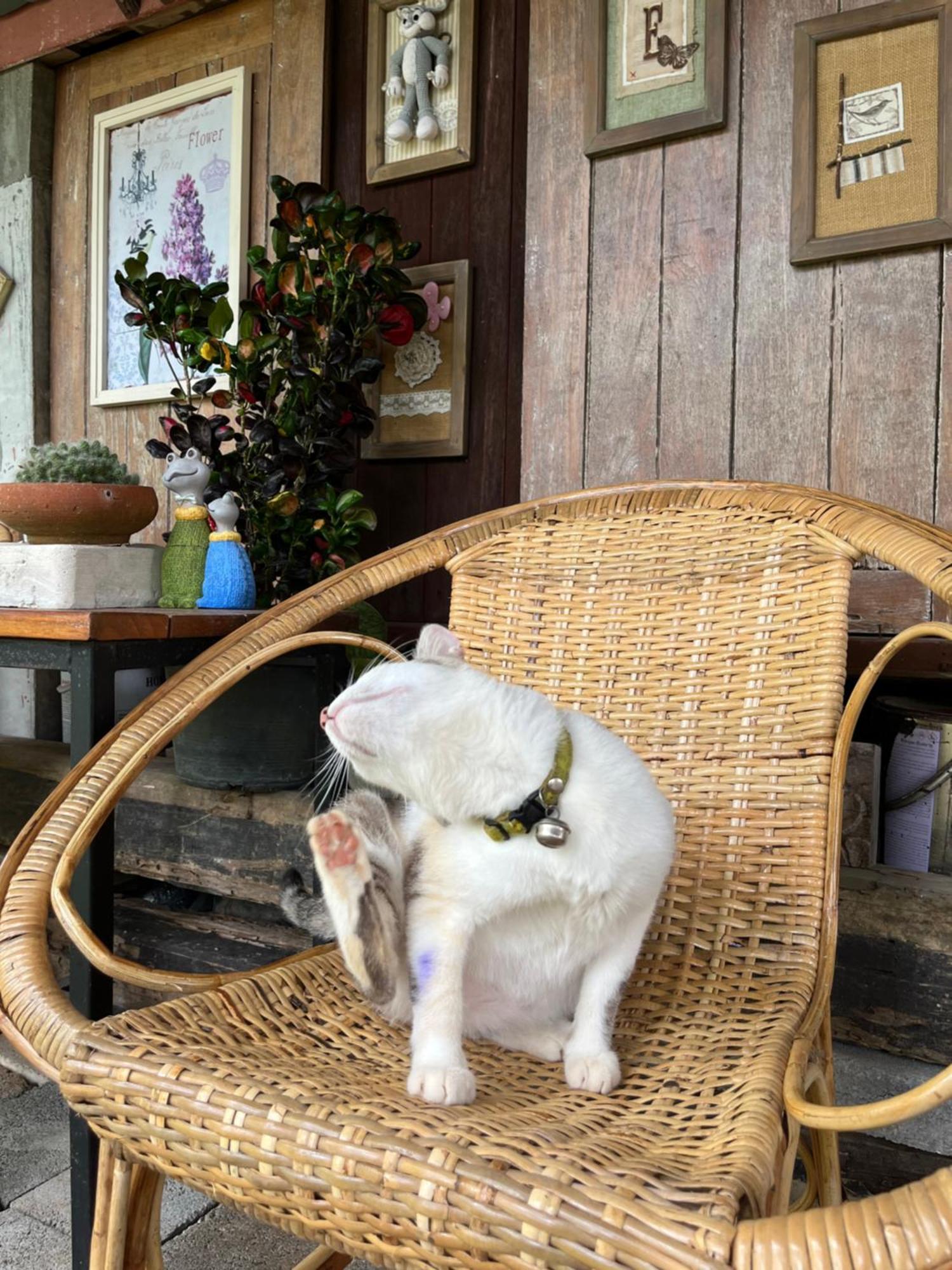 ครูหนูบ้านพัก แหลมงอบ Krunou Baanpak Trat Kültér fotó