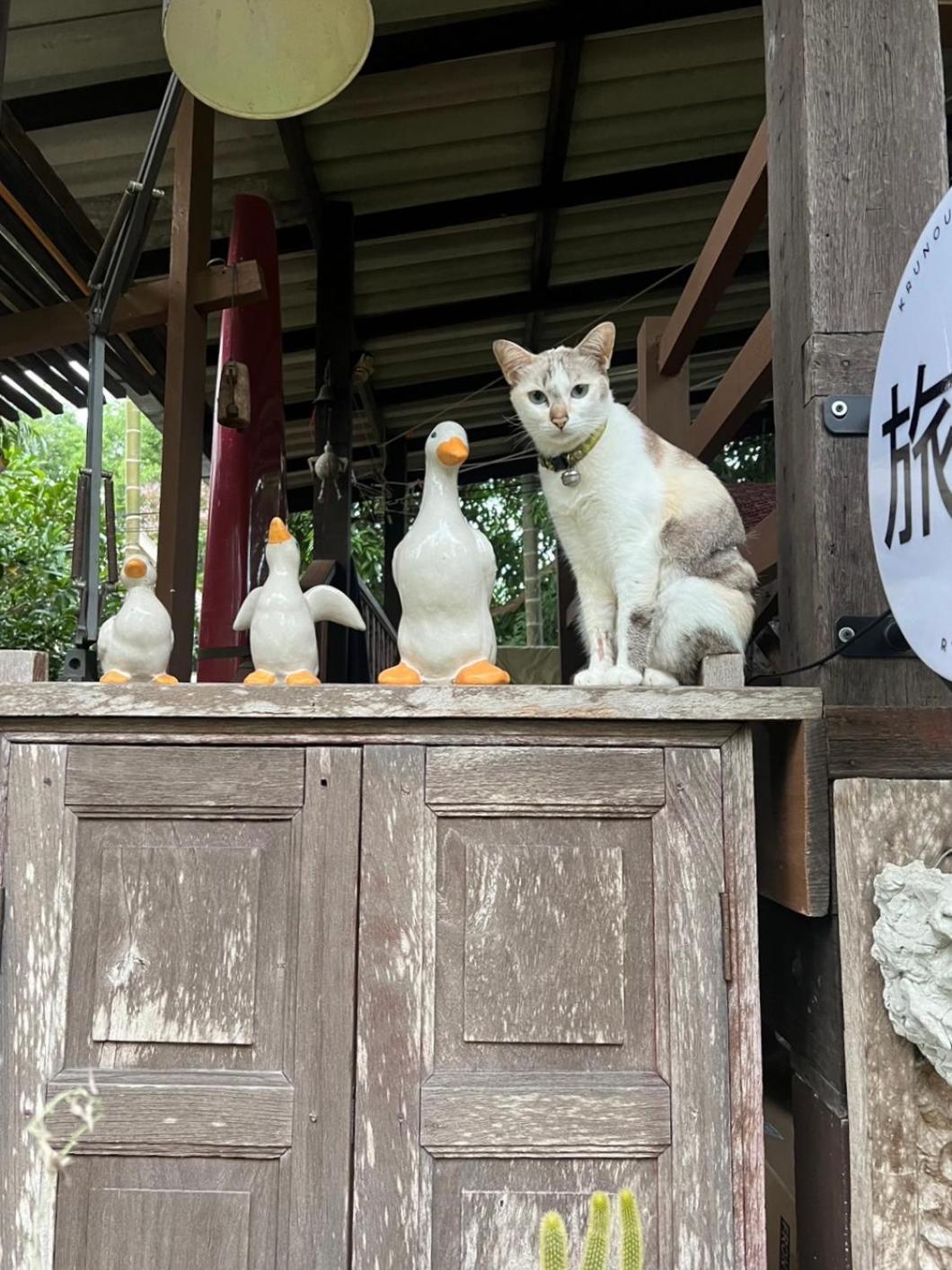 ครูหนูบ้านพัก แหลมงอบ Krunou Baanpak Trat Kültér fotó