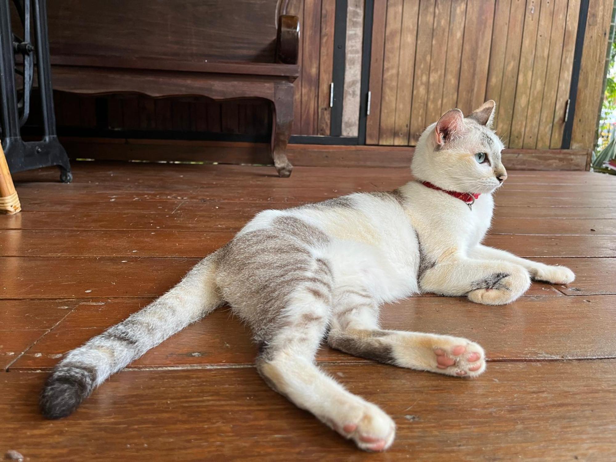 ครูหนูบ้านพัก แหลมงอบ Krunou Baanpak Trat Kültér fotó